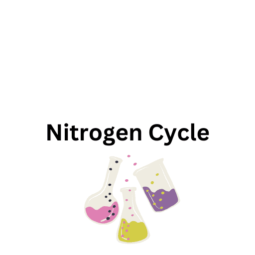 Nitrogen Cycle